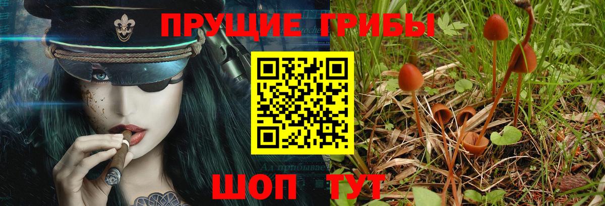 Псилоцибиновые грибы прущие грибы  купить наркотик  Малоярославец 