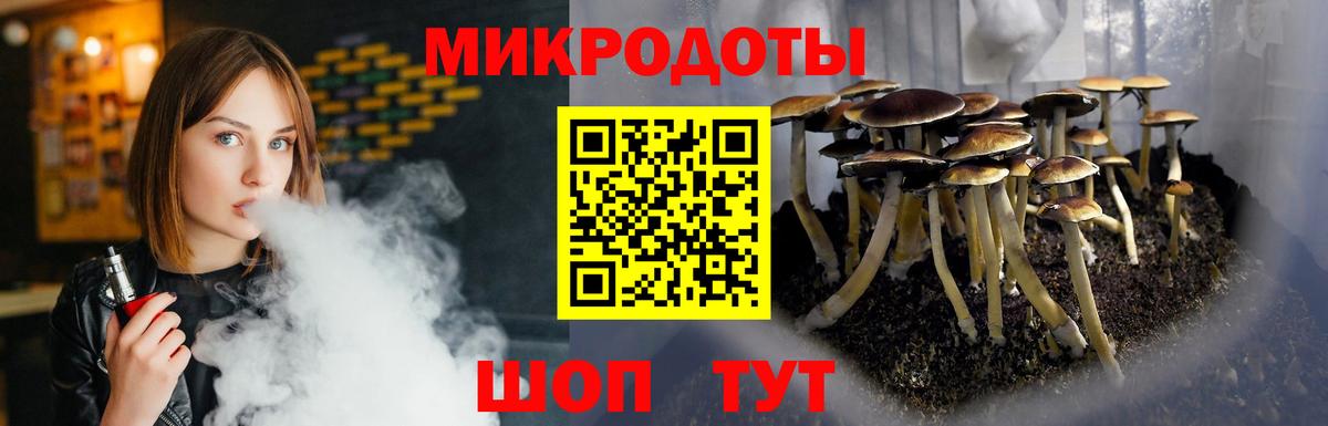 Галлюциногенные грибы Psilocybe Малоярославец